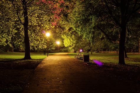 玉合公園裡的夜色是如何與周圍的燈火交相輝映